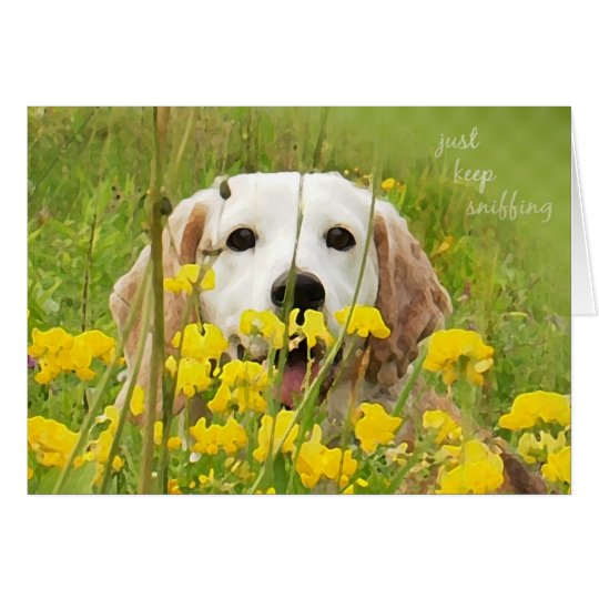 just keep sniffing beagle peeking in wildflowers card