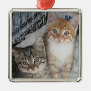 Just Kittens Metal Tree Decoration
