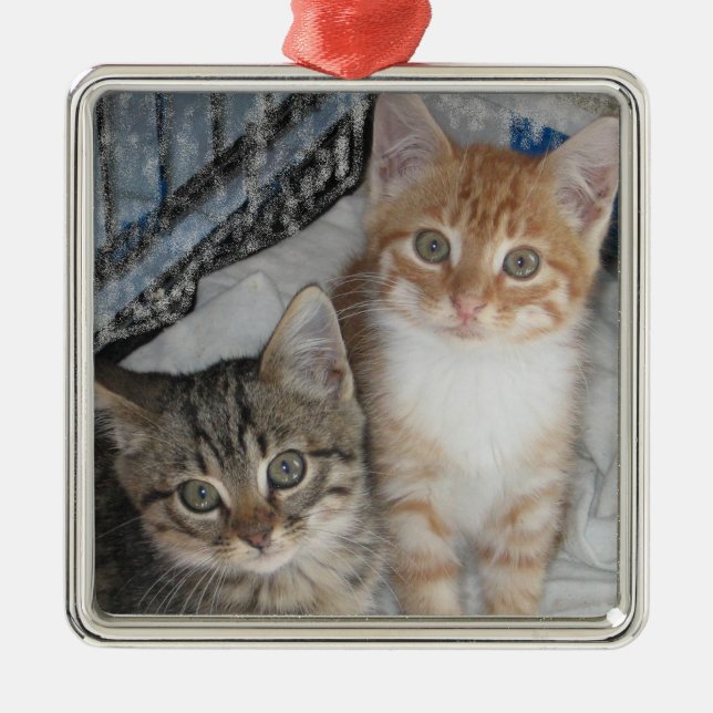 Just Kittens Metal Tree Decoration (Front)