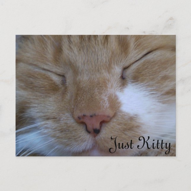 Just Kitty greetingcard Postcard (Front)