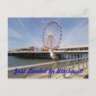 Just Landed Postcard