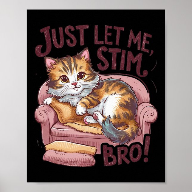 Just Let Me Stim Bro Cute Cat Funny Autism Awarene Poster (Front)