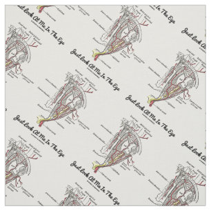 Just Look At Me In The Eye Human Eye Anatomy Fabric