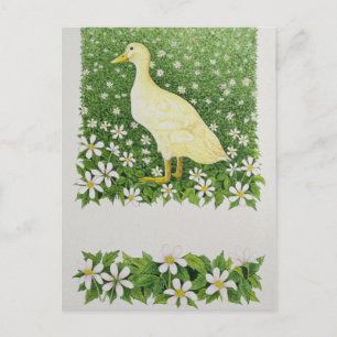 Just Looking Postcard