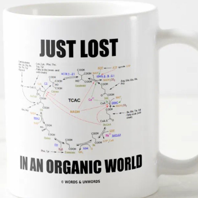 Just Lost In An Organic World Krebs Cycle Humour Coffee Mug (Scientific saying mug featuring the Krebs cycle for anyone who is "Just Lost In An Organic World".)
