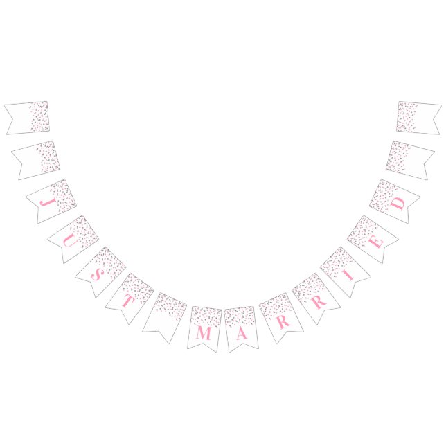 Just Married Banner Pink Silver Confetti (All)