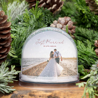 Just Married Christmas Greetings Customize Photo Snowglobe