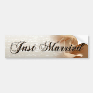 Just Married Cream Rose Bumper Sticker