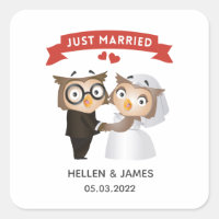 Just Married Owl Wedding 