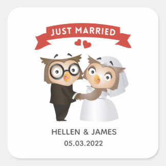 Just Married Owl Wedding Square Sticker