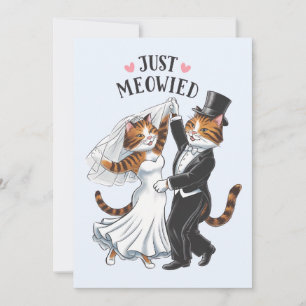 Just Meowied Married Couples Cat Funny Wedding Holiday Card