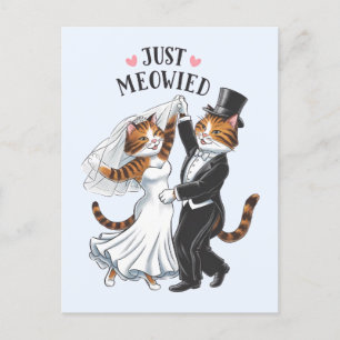 Just Meowied Married Couples Cat Funny Wedding Postcard