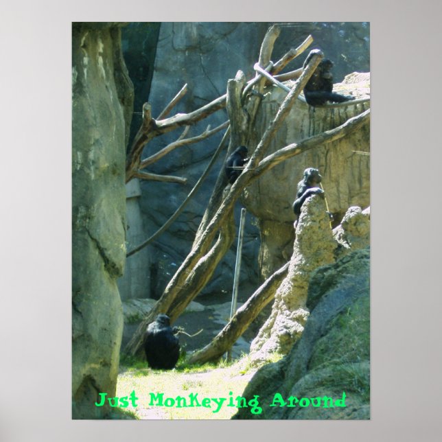 Just Monkeying Around Poster (Front)