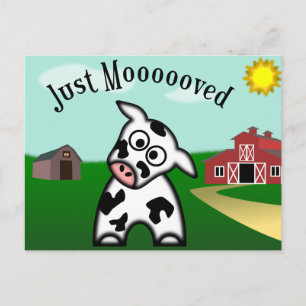 Just Moooved Postcard