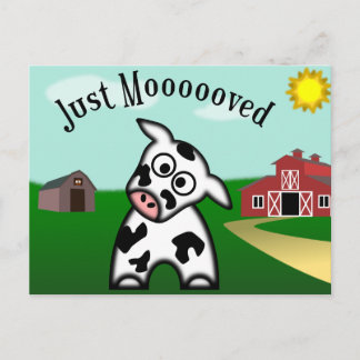 Just Moooved Postcard