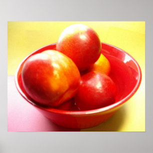 Just Nectarines/Fruit Poster