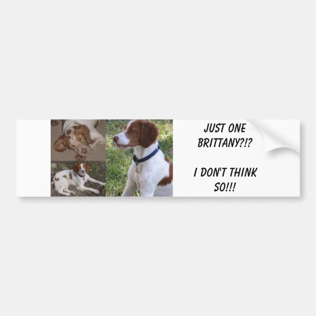 Just ONE Brittany?!?I don't think so!!! Bumper Sticker (Front)