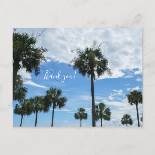Just Palm Trees Thank You Postcard