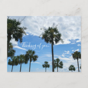 Just Palm Trees Thinking Of You Postcard