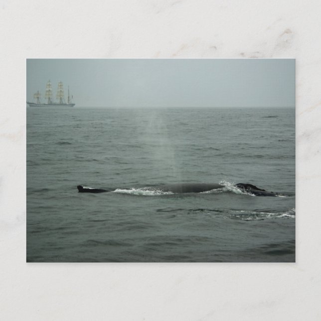 Just Passing By Postcard (Front)