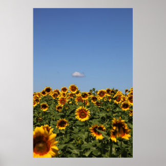 Just passing by poster