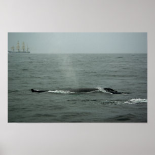 Just Passing By Print