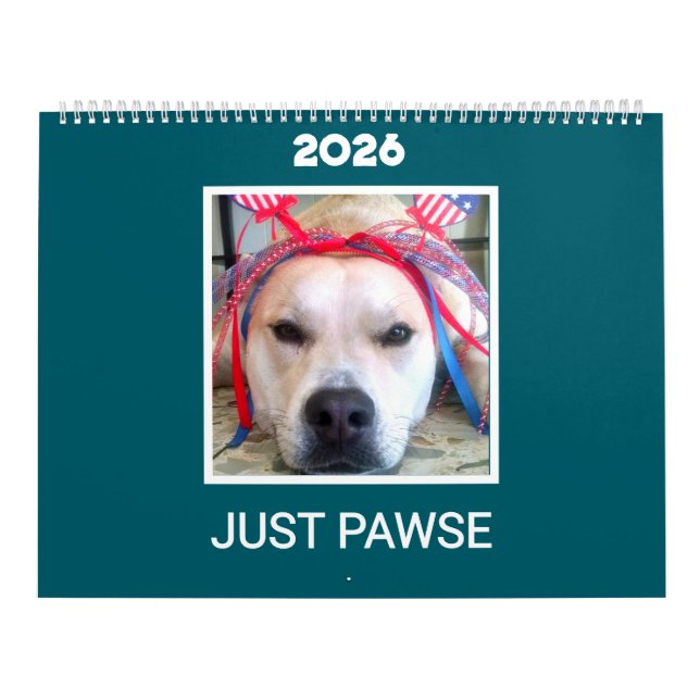 'Just Pawse – 2026' Pet Photo Minimalist Teal Calendar (Cover)
