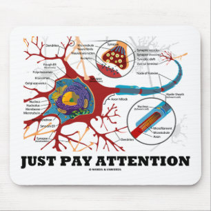 Just Pay Attention (Neuron / Synapse) Mouse Mat