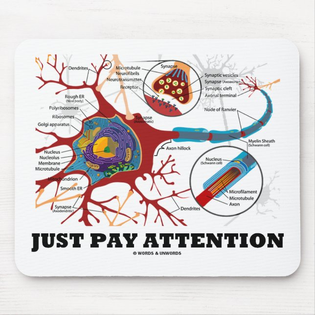 Just Pay Attention (Neuron / Synapse) Mouse Mat (Front)