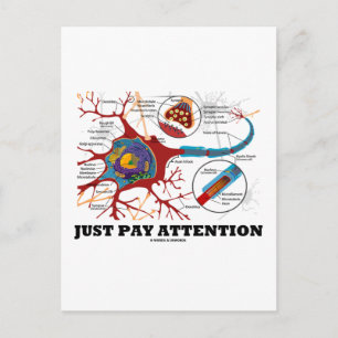 Just Pay Attention (Neuron / Synapse) Postcard