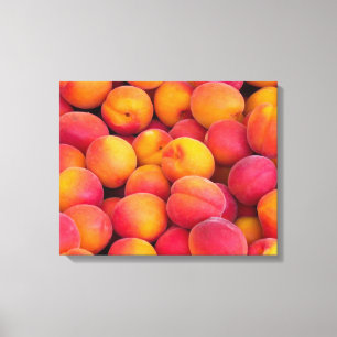 Just Peachy Canvas Print