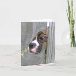 Just Peeking In Card