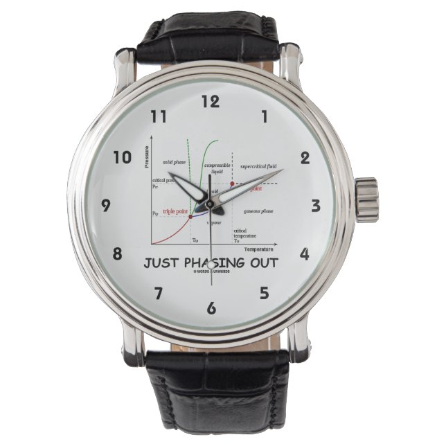 Just Phasing Out (Water Chemistry Attitude) Watch (Front)