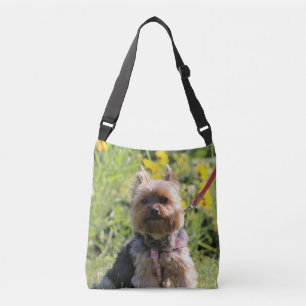 Just plain darling crossbody bag