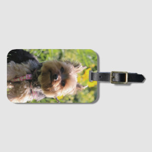 Just plain darling  drawstring bag luggage tag