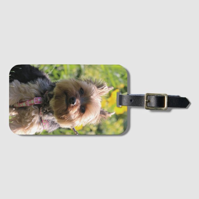 Just plain darling  drawstring bag luggage tag (Front Horizontal)