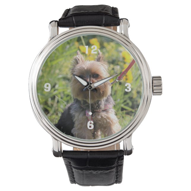 Just plain darling watch (Front)