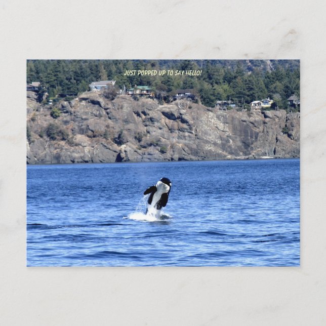 Just Popped Up To Say Hello! Postcard (Front)