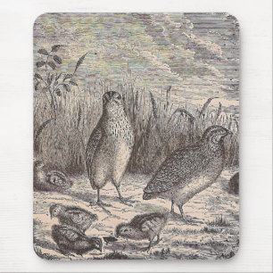 Just Quail Mouse Mat