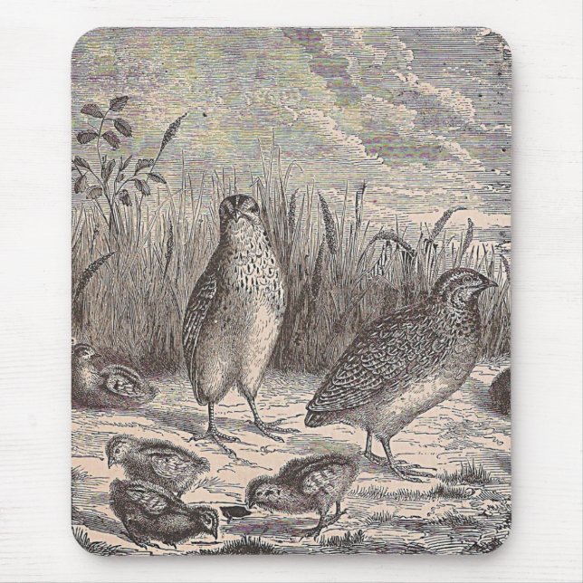 Just Quail Mouse Mat (Front)