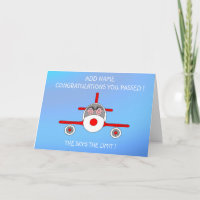 Just qualified pilots license