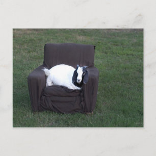 Just relax postcard