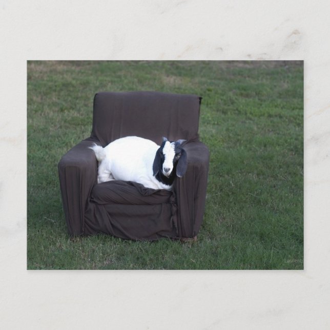 Just relax postcard (Front)