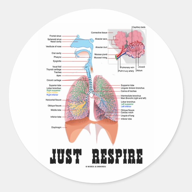 Just Respire Classic Round Sticker (Front)