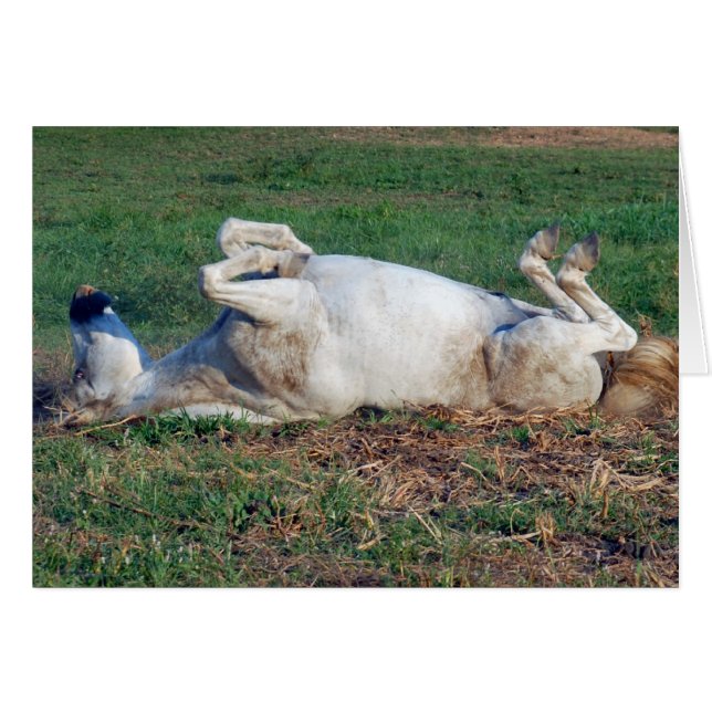 Just Resting (Front Horizontal)