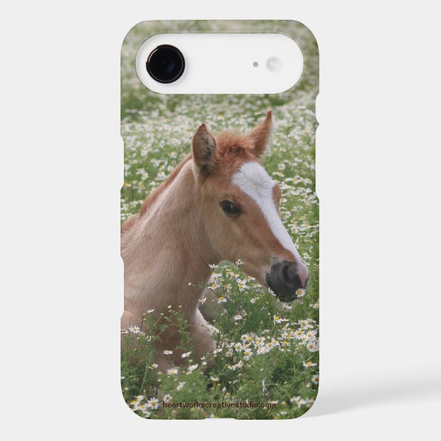 Just Resting iPod Case-Mate Case (Back)