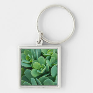Just Sedum Key Ring