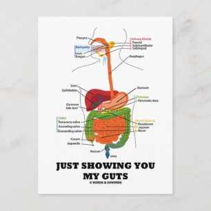 Just Showing You My Guts (Black Font Digestive) Postcard