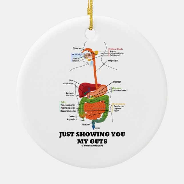 Just Showing You My Guts (Digestive System Humour) Ceramic Tree Decoration (Back)