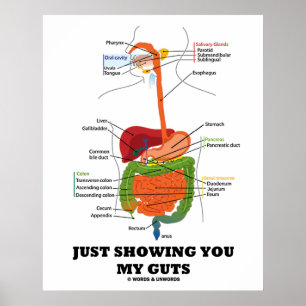 Just Showing You My Guts (Digestive System Humour) Poster